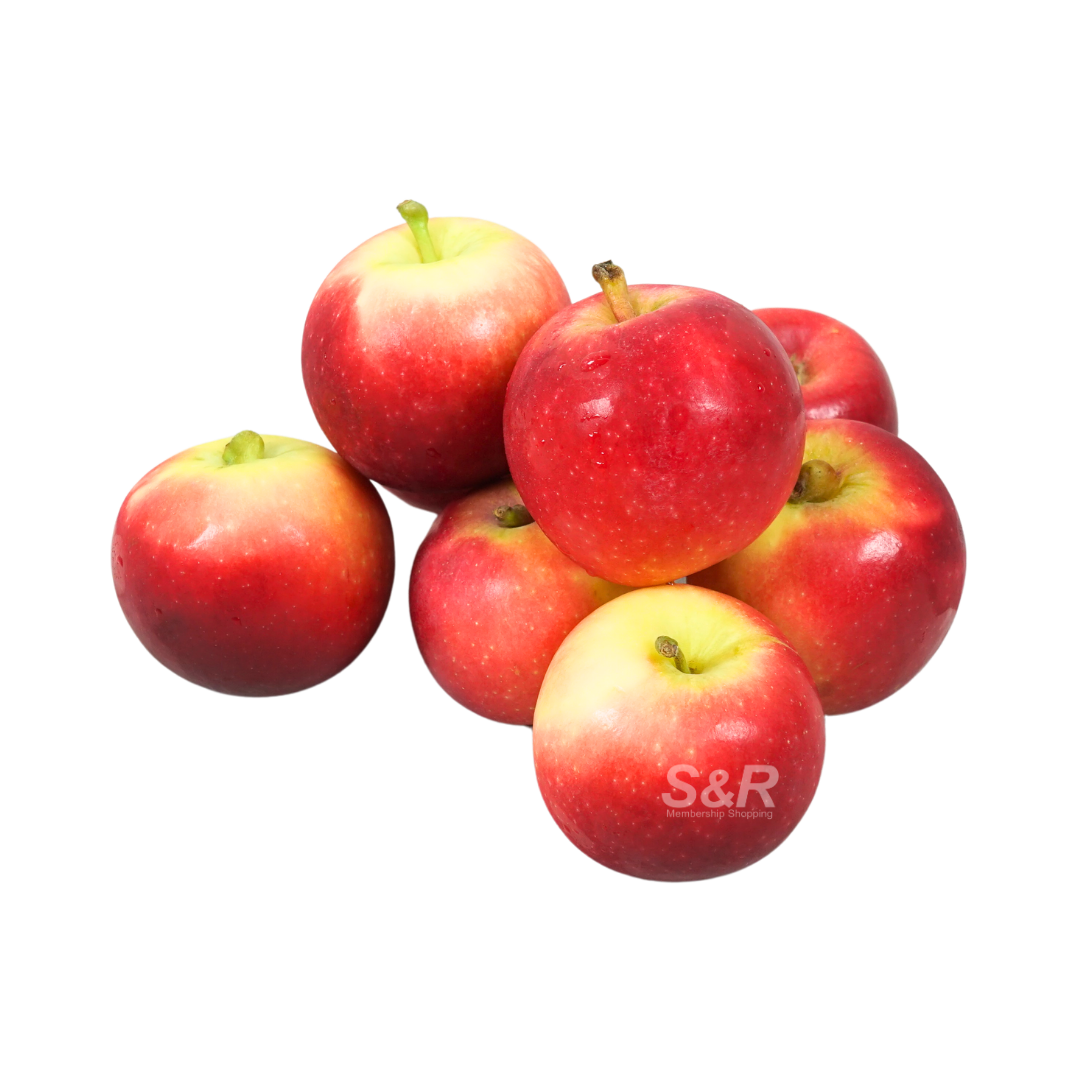 S&R NZ Rockit Apple Family Pack